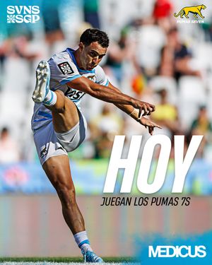 Image post by @lospumas7s on Instagram