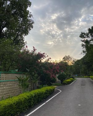 Image post by @sonalibarthwall on Instagram
