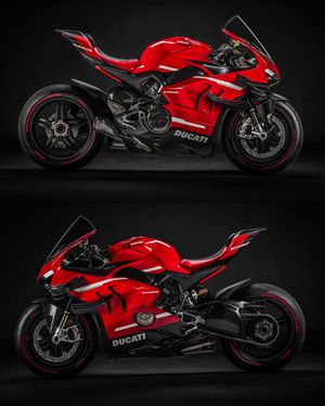 Image post by @panigalers on Instagram