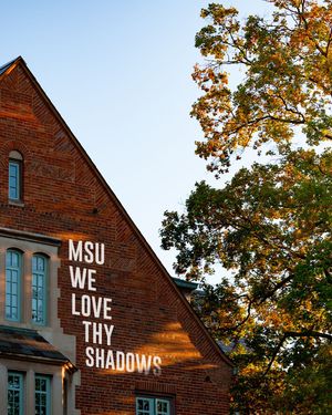 Image post by @michigan-state-university/ on LinkedIn