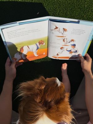 Image post by @shoheiohtani on Instagram