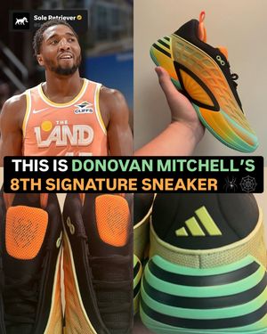 Image post by @soleretriever on Instagram