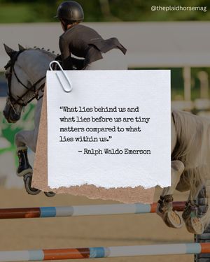 Image post by @theplaidhorsemag on Instagram