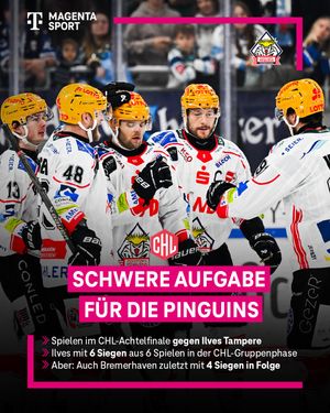 Image post by @magentasport on Instagram