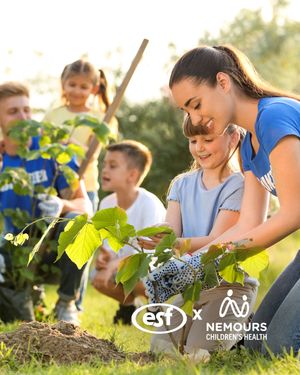 Image post by @esfcamps on Instagram