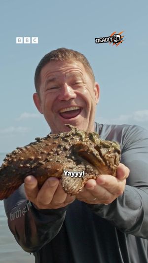 Video post by @bbcearth on TikTok