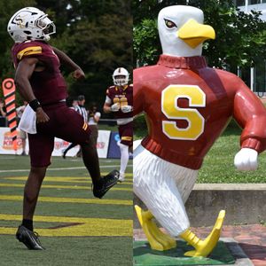 Image post by @suseagulls on Instagram
