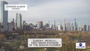 Video post by @abcnewslive on TikTok
