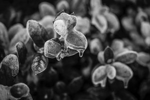 Image post by @jtobiasphoto on Instagram