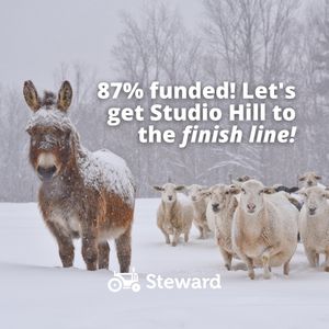 Image post by @steward on Instagram