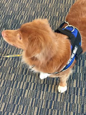 Image post by @RockoDeLuca_AD on Twitter