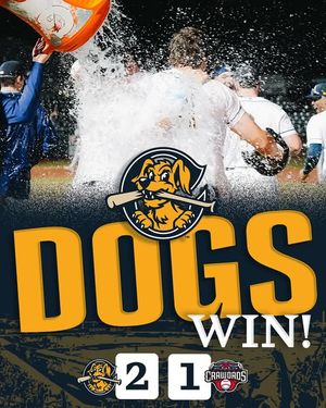 Image post by @chasriverdogs on Instagram