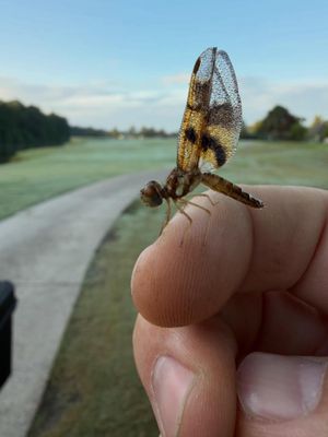 Image post by @st.johnsgolfclub on Instagram