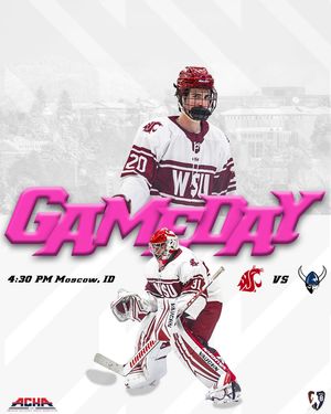 Image post by @wsu_hockey_ on Instagram