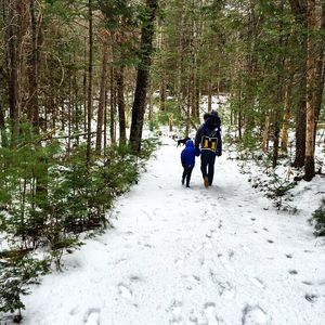Image post by @themainemag on Instagram