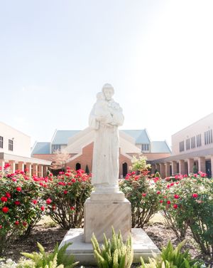 Image post by @ap.church on Instagram