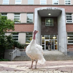 Image post by @ncstatecals on Instagram
