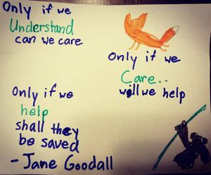 Image post by @audrey4care on Instagram