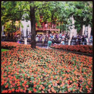 Image post by @profvanacore on Instagram