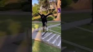 Video post by @sls on YouTube