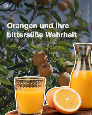 Image post by @zdf.de on Instagram