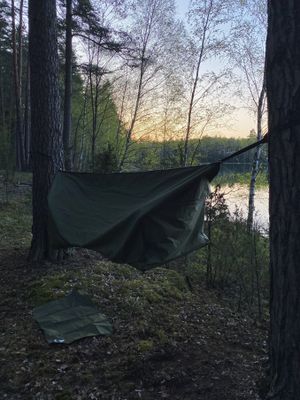 Image post by @haventents on Instagram