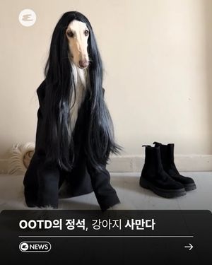 Image post by @esquire.korea on Instagram