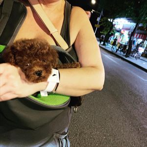 Image post by @natasaornella on Instagram