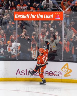 Image post by @anaheimducks on Instagram