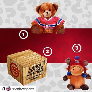 Image post by @canadiensmtl on Instagram