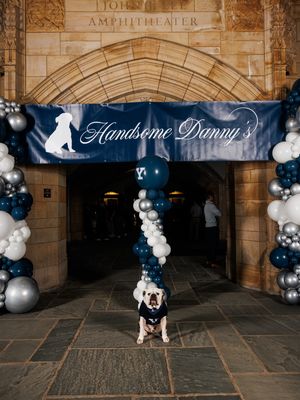 Image post by @yaleathletics on Instagram