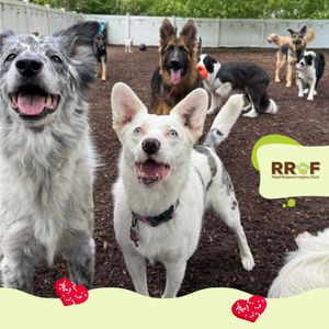 Image post by @wufers on Instagram