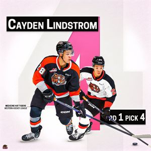 Image post by @BlackGirlHockey on Twitter