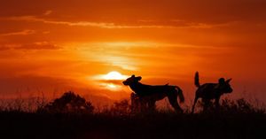 Image post by @guybrunskillphoto on Instagram