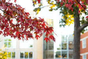Image post by @marshallu on Instagram