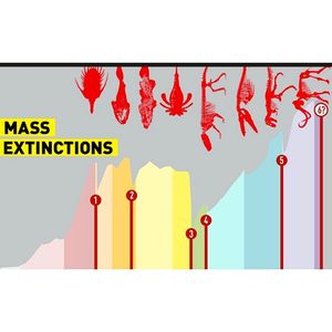 Image post by @worldscifest on Instagram