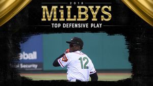 Image post by @gowoodducks on Instagram