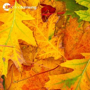 Image post by @samsungromania on Instagram