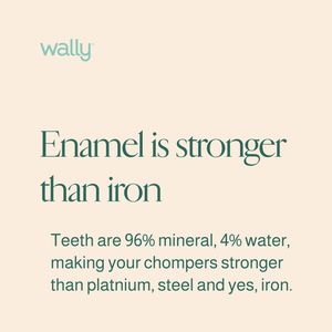 Image post by @wallyhealth on Instagram