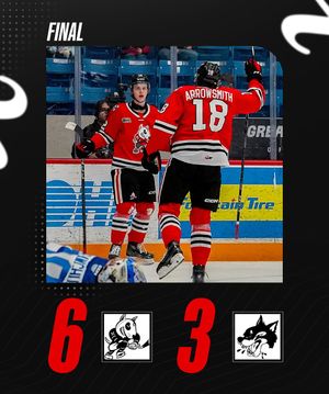 Image post by @ohlicedogs on Instagram
