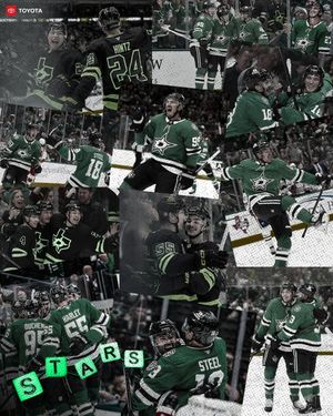 Image post by @dallasstars on Instagram