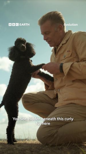 Video post by @bbcearth on TikTok