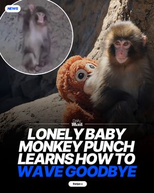 Image post by @dailymail on Instagram