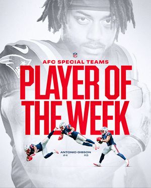 Image post by @patriots on Instagram