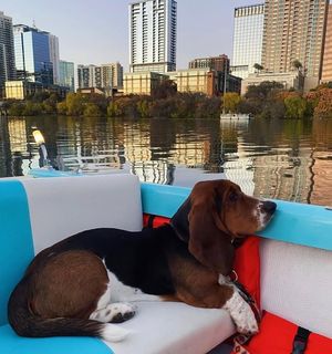 Image post by @retroboatrentalsatx on Facebook