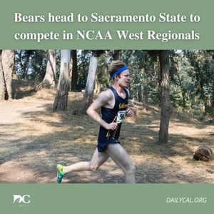 Image post by @dailycalsports on Instagram