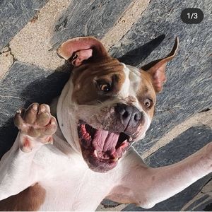 Image post by @vegans_and_plants_ on Instagram