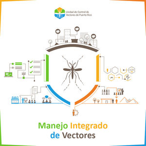 Image post by @prvectorcontrol on Instagram