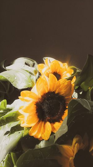 Image post by @inkvoyagestudio on Instagram