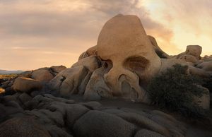 Image post by @chandlerwebercreative on Instagram